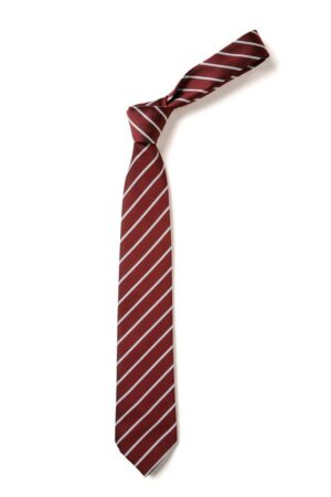 ALLOA ACADEMY TIE