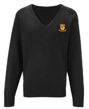 BELLSHILL ACAD BOY JUMPER