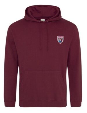 CARBRAIN HOODIE