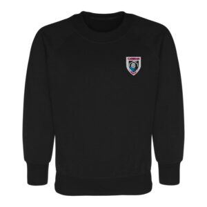 CARBRAIN VEE SWEAT