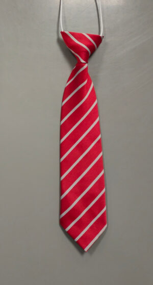 CLARKSTON ELASTIC TIE