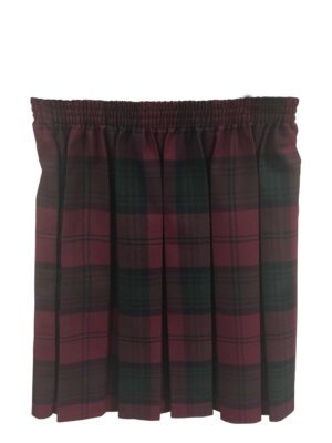 HILLTOP CARBRAIN ALL BOX SKIRT