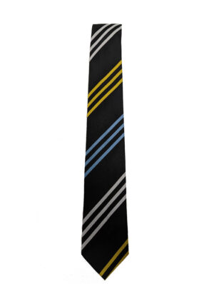 LARKHALL ACADAMY TIE