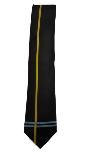 LARKHALL ACADEMY SENIOR TIE