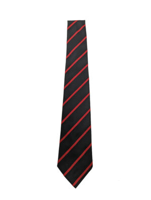 LESMAHAGOW TIE