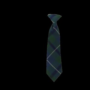 PARKVIEW ELASTIC TIE