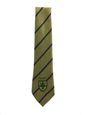 ST ALOYSIUS P7 TIE