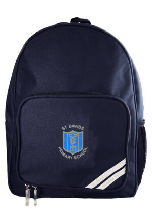 ST DAVIDS INFANT BAG